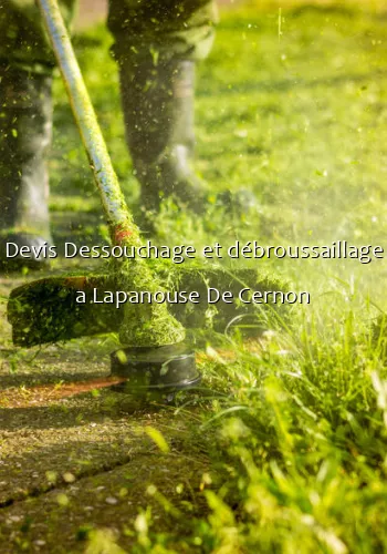 Devis Dessouchage et débroussaillage a Lapanouse De Cernon