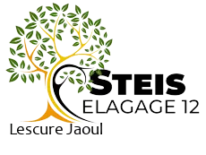 elagueur-steis-elagage