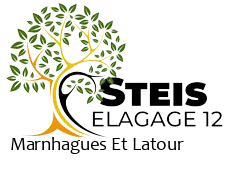 elagueur-steis-elagage