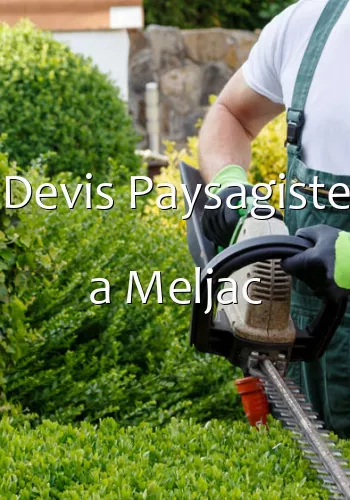 Devis Paysagiste a Meljac