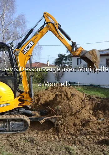Devis Dessoussage avec Mini pelle a Monteils