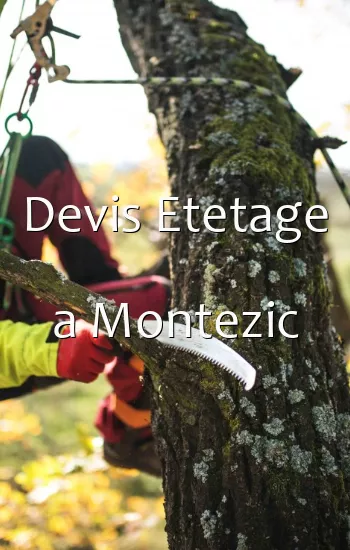 Devis Etetage a Montezic