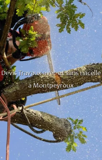 Devis Travaux avec et sans nacelle a Montpeyroux