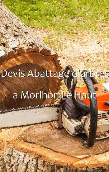 Devis Abattage d'arbres a Morlhon Le Haut