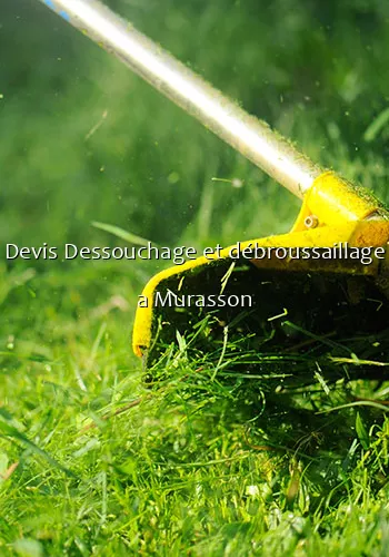 Devis Dessouchage et débroussaillage a Murasson