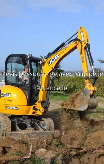 Devis Dessoussage avec Mini pelle a Naucelle