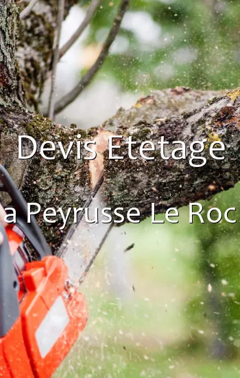 Devis Etetage a Peyrusse Le Roc