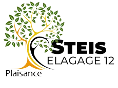elagueur-steis-elagage