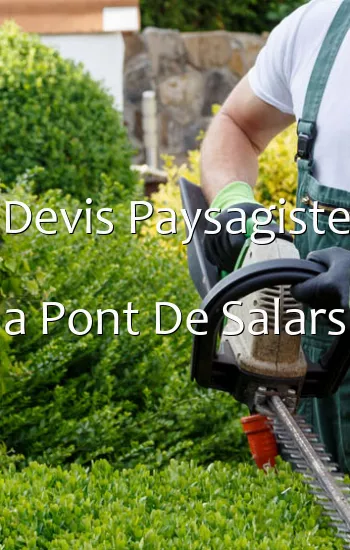 Devis Paysagiste a Pont De Salars