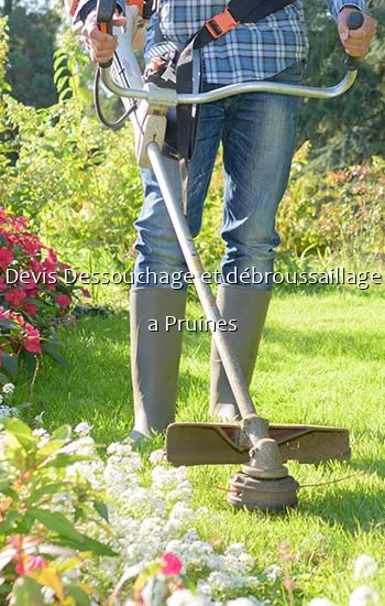 Devis Dessouchage et débroussaillage a Pruines