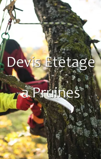 Devis Etetage a Pruines