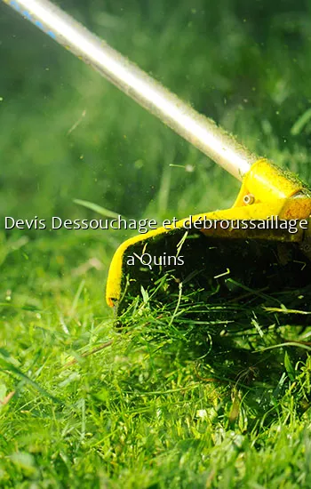 Devis Dessouchage et débroussaillage a Quins