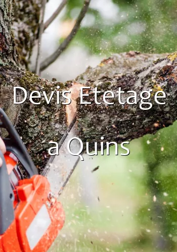 Devis Etetage a Quins