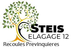 elagueur-steis-elagage