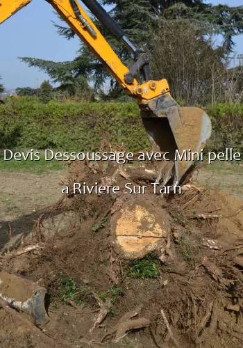 Devis Dessoussage avec Mini pelle a Riviere Sur Tarn