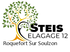 elagueur-steis-elagage