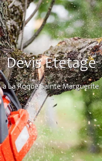 Devis Etetage a La Roque Sainte Marguerite