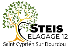 elagueur-steis-elagage