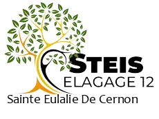 elagueur-steis-elagage