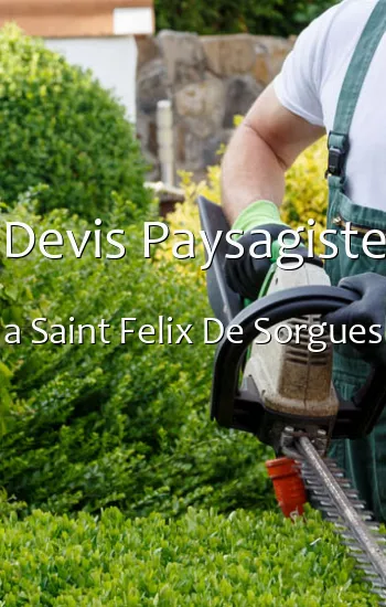 Devis Paysagiste a Saint Felix De Sorgues
