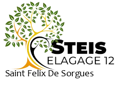 elagueur-steis-elagage