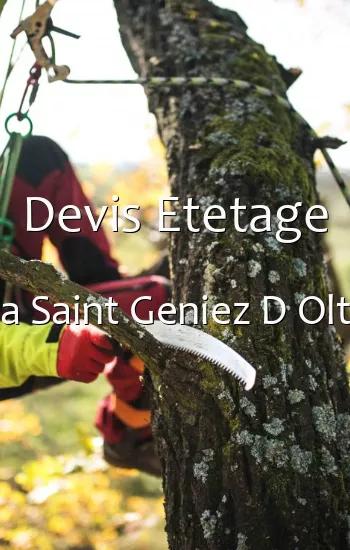 Devis Etetage a Saint Geniez D Olt