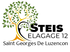 elagueur-steis-elagage