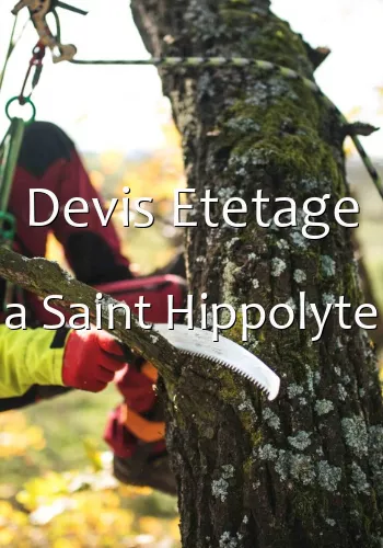 Devis Etetage a Saint Hippolyte