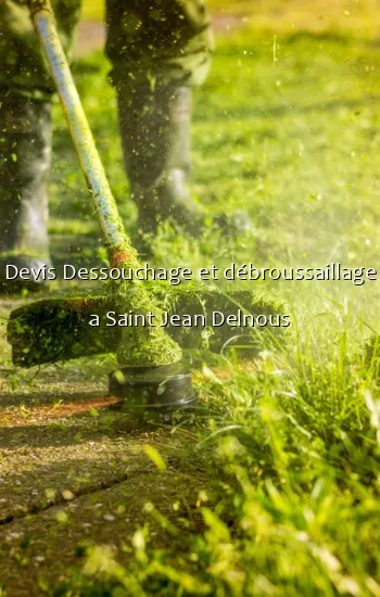 Devis Dessouchage et débroussaillage a Saint Jean Delnous