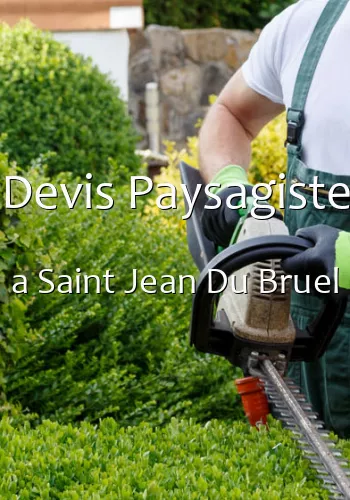 Devis Paysagiste a Saint Jean Du Bruel