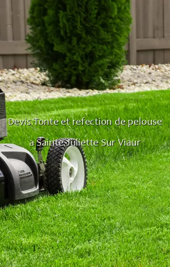 Devis Tonte et refection de pelouse a Sainte Juliette Sur Viaur