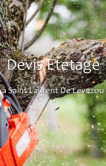 Devis Etetage a Saint Laurent De Levezou