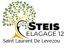 elagueur-steis-elagage