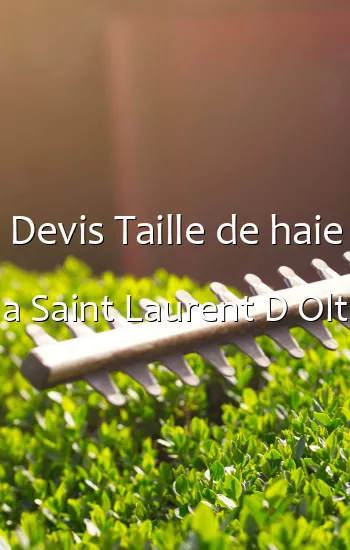 Devis Taille de haie a Saint Laurent D Olt