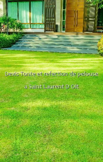 Devis Tonte et refection de pelouse a Saint Laurent D Olt