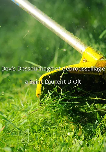 Devis Dessouchage et débroussaillage a Saint Laurent D Olt