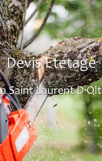 Devis Etetage a Saint Laurent D Olt