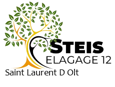 elagueur-steis-elagage