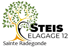 elagueur-steis-elagage