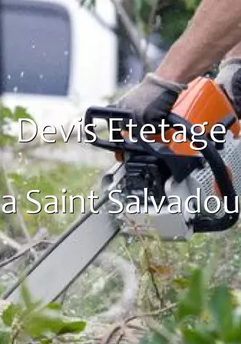 Devis Etetage a Saint Salvadou