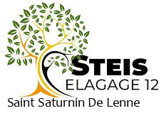 elagueur-steis-elagage