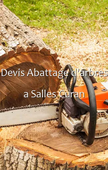 Devis Abattage d'arbres a Salles Curan