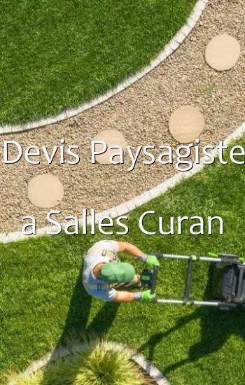 Devis Paysagiste a Salles Curan