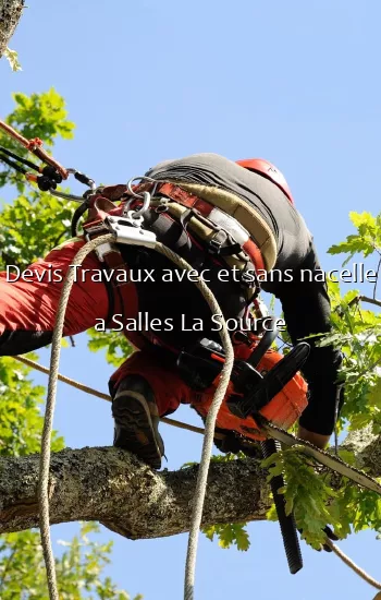 Devis Travaux avec et sans nacelle a Salles La Source