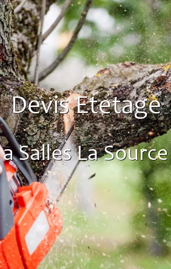 Devis Etetage a Salles La Source