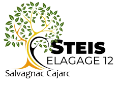 elagueur-steis-elagage