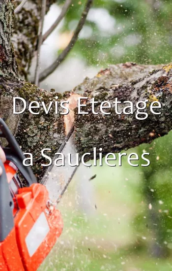 Devis Etetage a Sauclieres