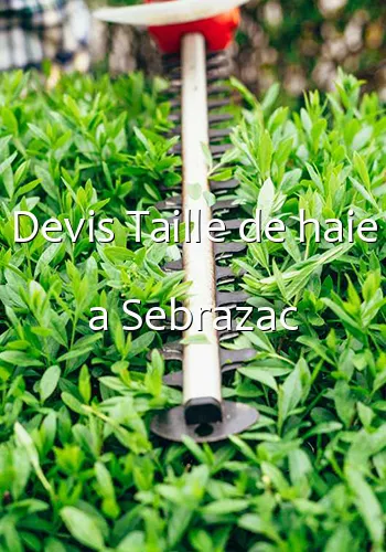 Devis Taille de haie a Sebrazac
