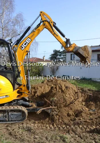 Devis Dessoussage avec Mini pelle a Tauriac De Camares
