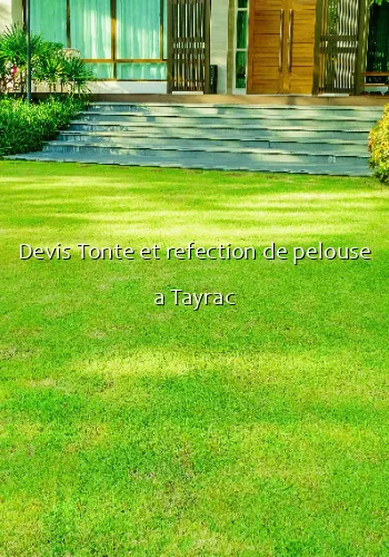 Devis Tonte et refection de pelouse a Tayrac